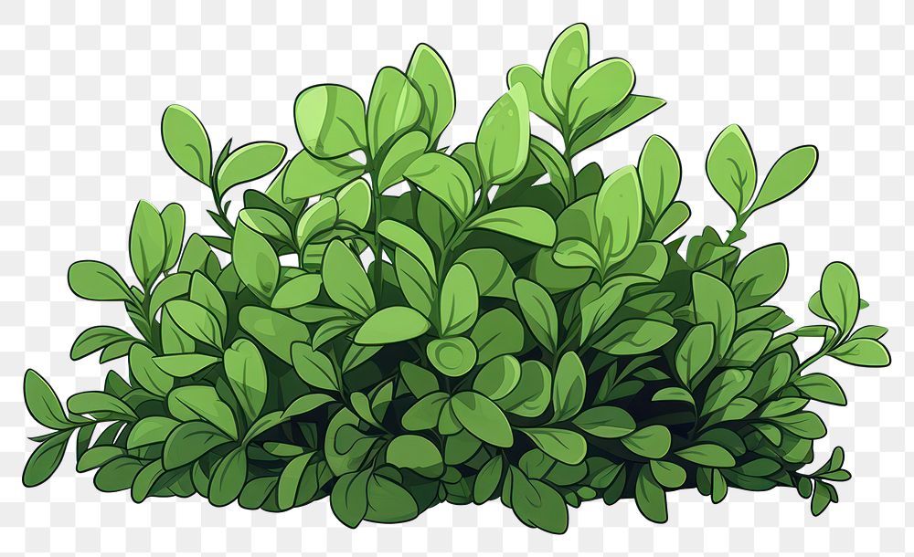 PNG  Plant green herbs leaf. AI generated Image by rawpixel.