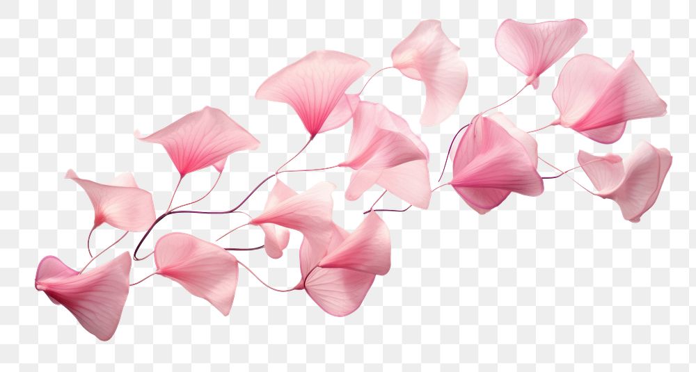 PNG Pink flower branch, transparent background. AI generated image by rawpixel.