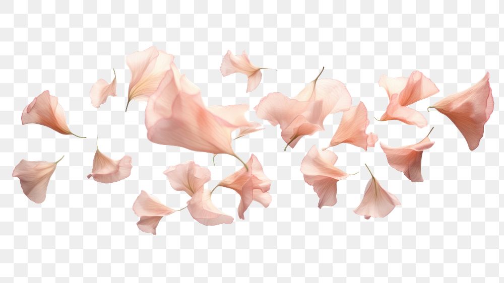 PNG flower petals effect, transparent background. AI generated image by rawpixel.