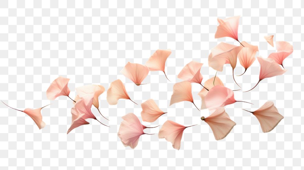 PNG Pink flower branch, transparent background. AI generated image by rawpixel.