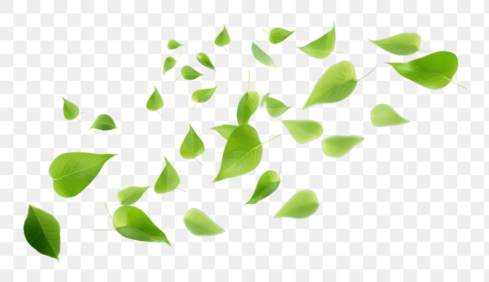 PNG floating leaf effect, transparent background. AI generated image by rawpixel.
