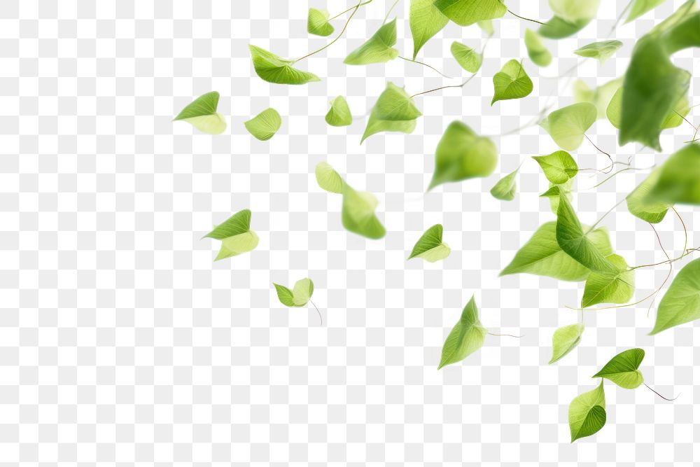 PNG floating leaf effect, transparent background. AI generated image by rawpixel.