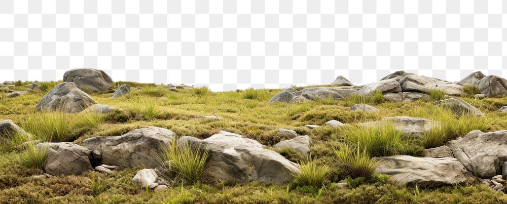 PNG Rocky grass field land landscape grassland. .