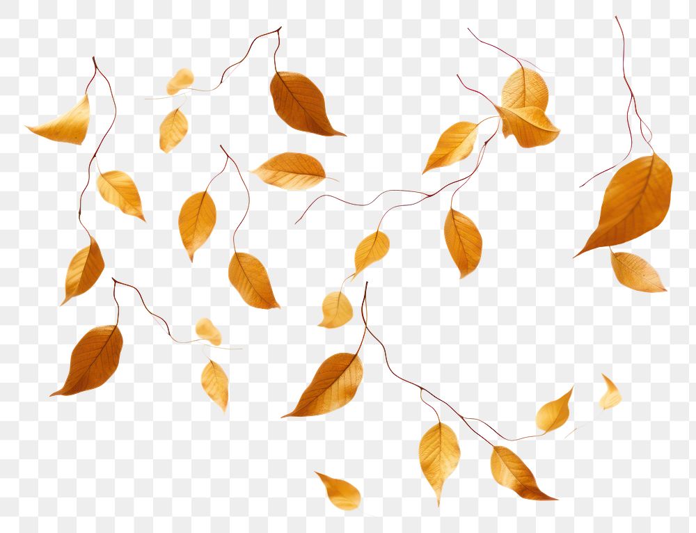 PNG Autumn leaf effect, transparent background. AI generated image by rawpixel.