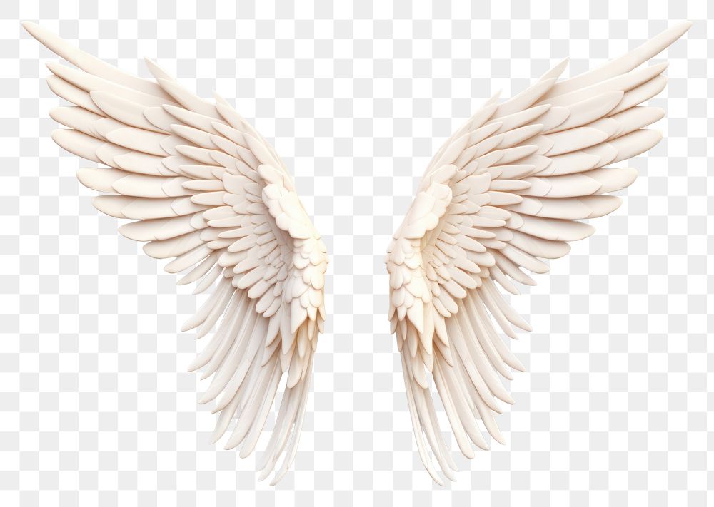 PNG Angel wing white bird white background. AI generated Image by rawpixel.