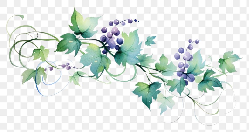 PNG Vine blueberry pattern grapes. AI generated Image by rawpixel.