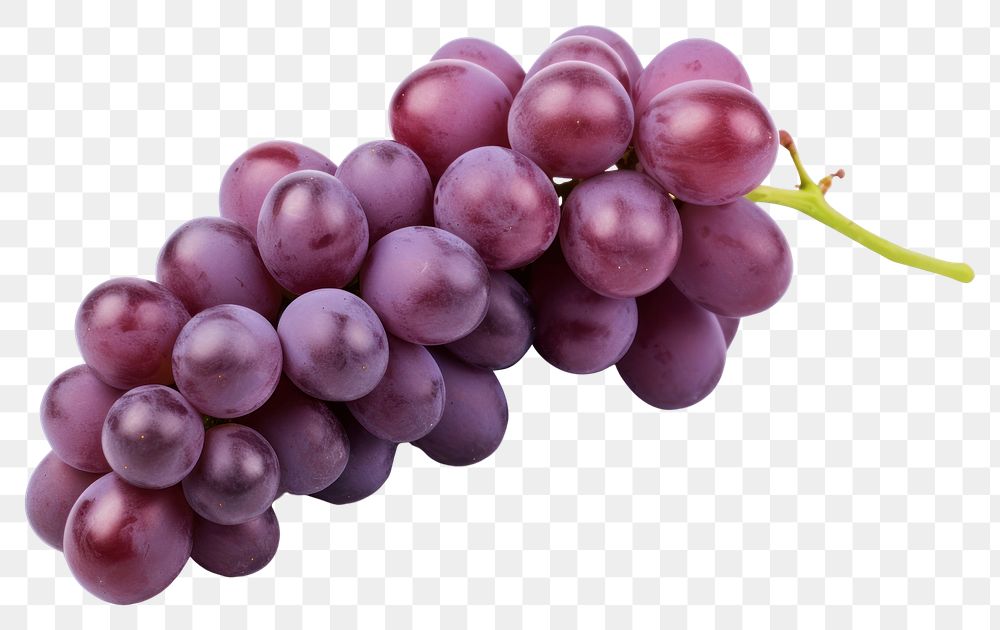 PNG Grape grapes fruit plant. AI generated Image by rawpixel.