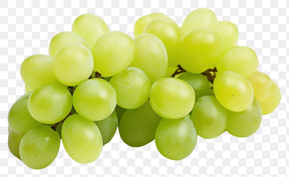 PNG Green grape grapes fruit plant. 