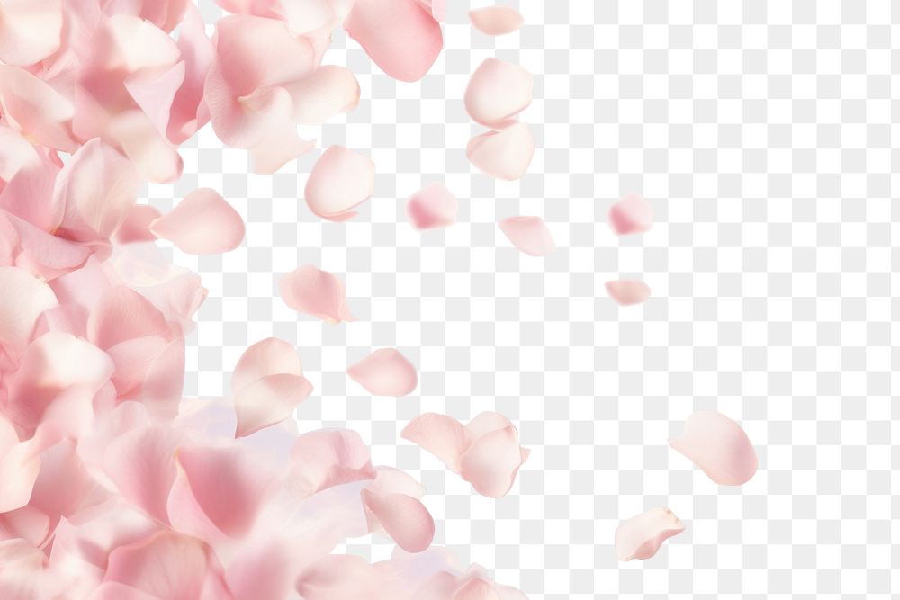 PNG pink flower petals effect, transparent background. AI generated image by rawpixel.