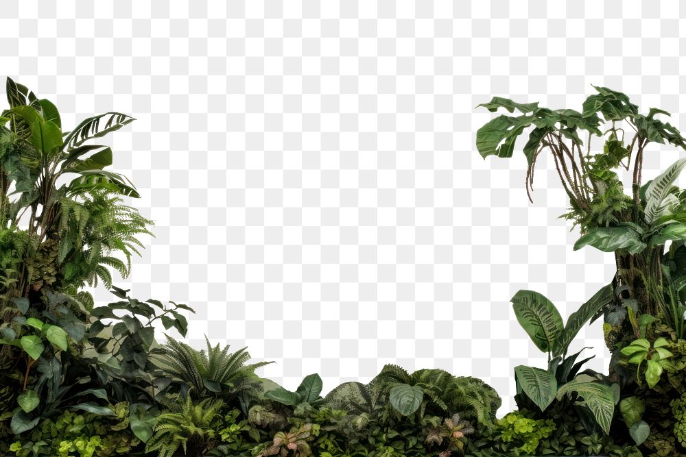 PNG Amazon forest border vegetation outdoors nature. AI generated Image by rawpixel.