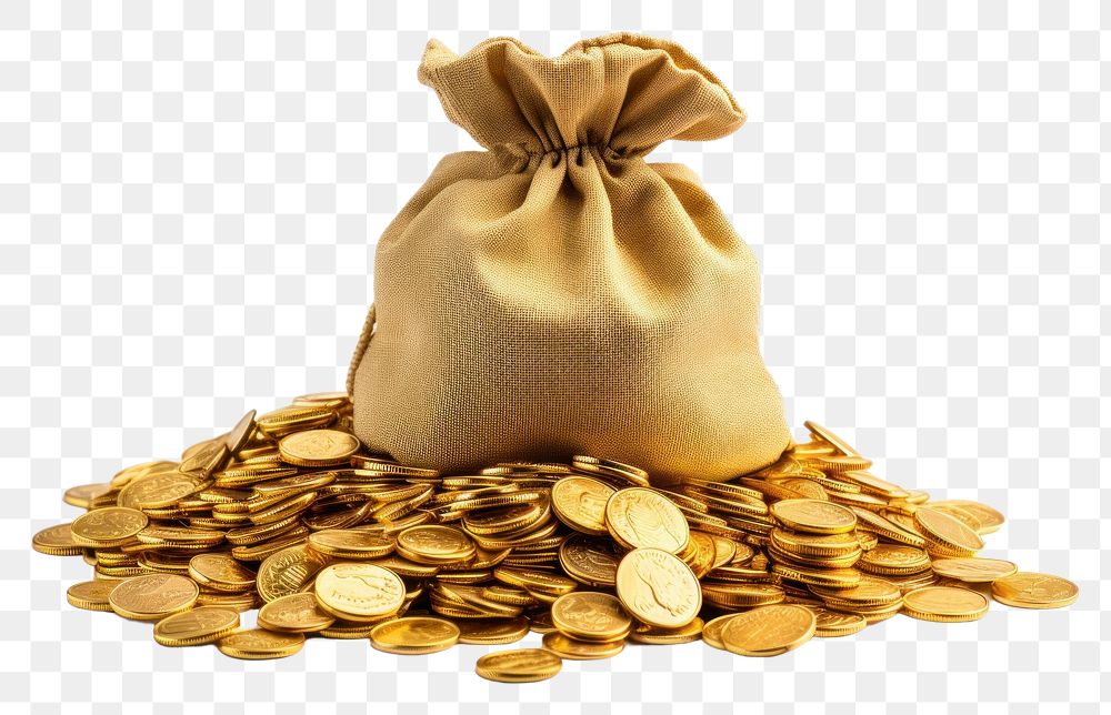 PNG Gold coin bag money