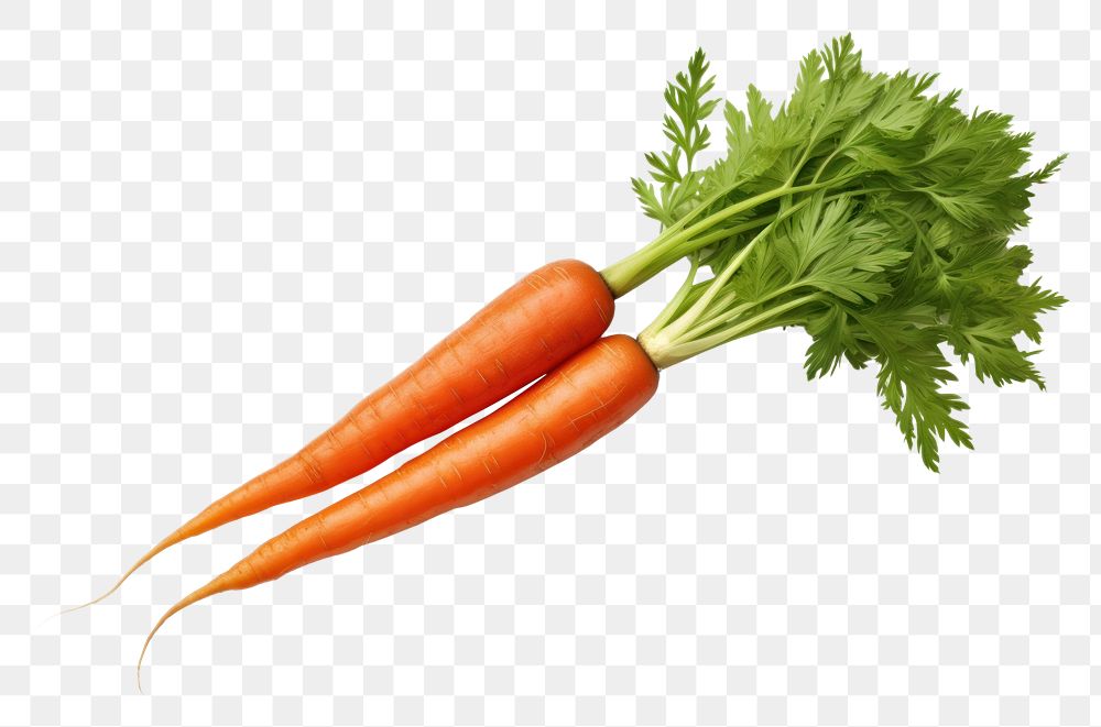 PNG Carrot vegetable plant food. 