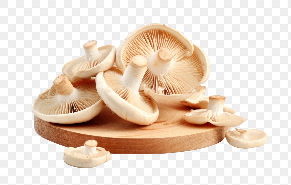 PNG Chopped mushroom 3d ingredient dumpling pelmeni. AI generated Image by rawpixel.