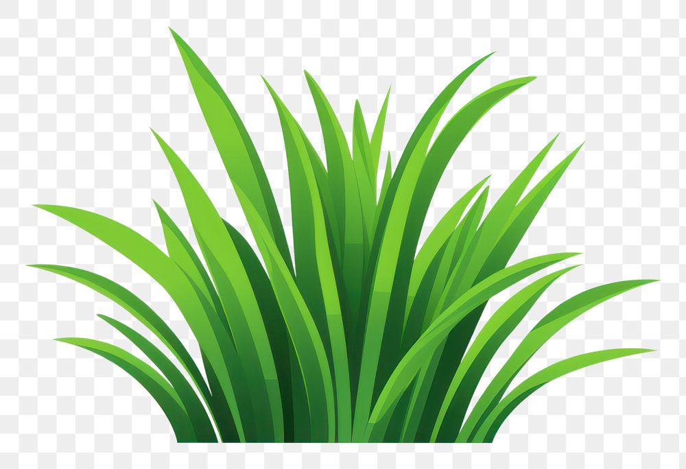 PNG Grass green plant leaf. AI generated Image by rawpixel.