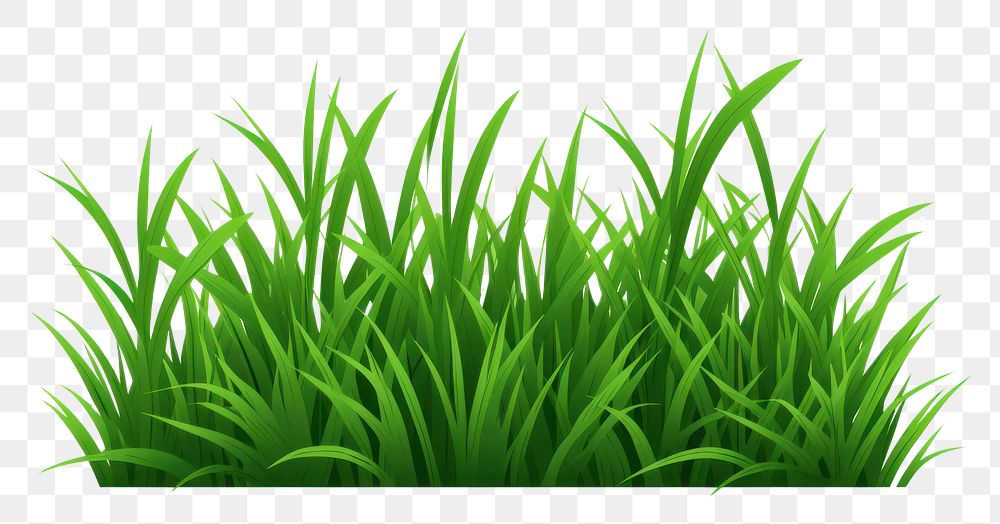 PNG Grass green plant lawn. AI generated Image by rawpixel.
