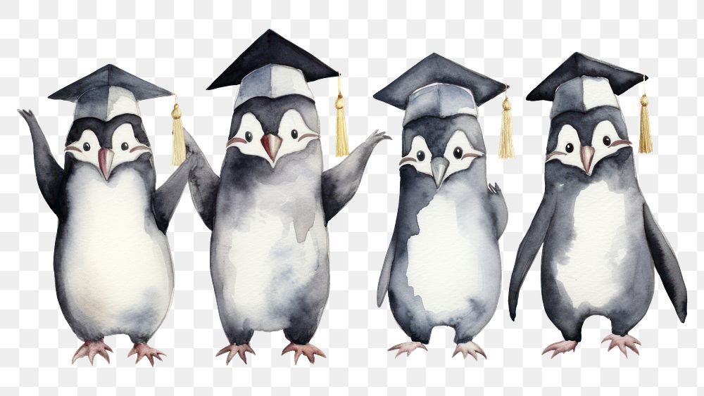PNG Penguins animal graduation bird. AI generated Image by rawpixel.