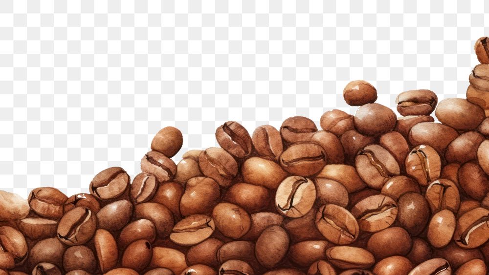 PNG  Coffee beans backgrounds white background refreshment. AI generated Image by rawpixel.