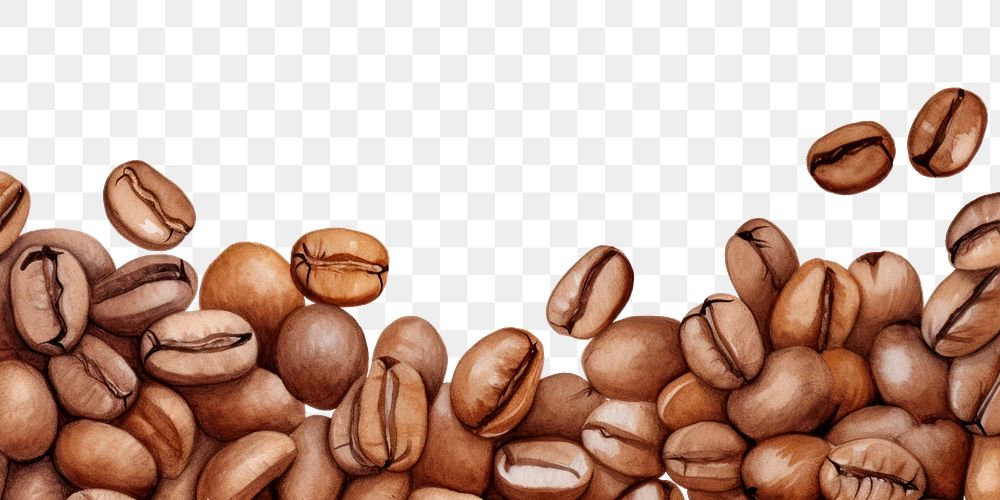 PNG  Coffee beans backgrounds white background freshness. AI generated Image by rawpixel.