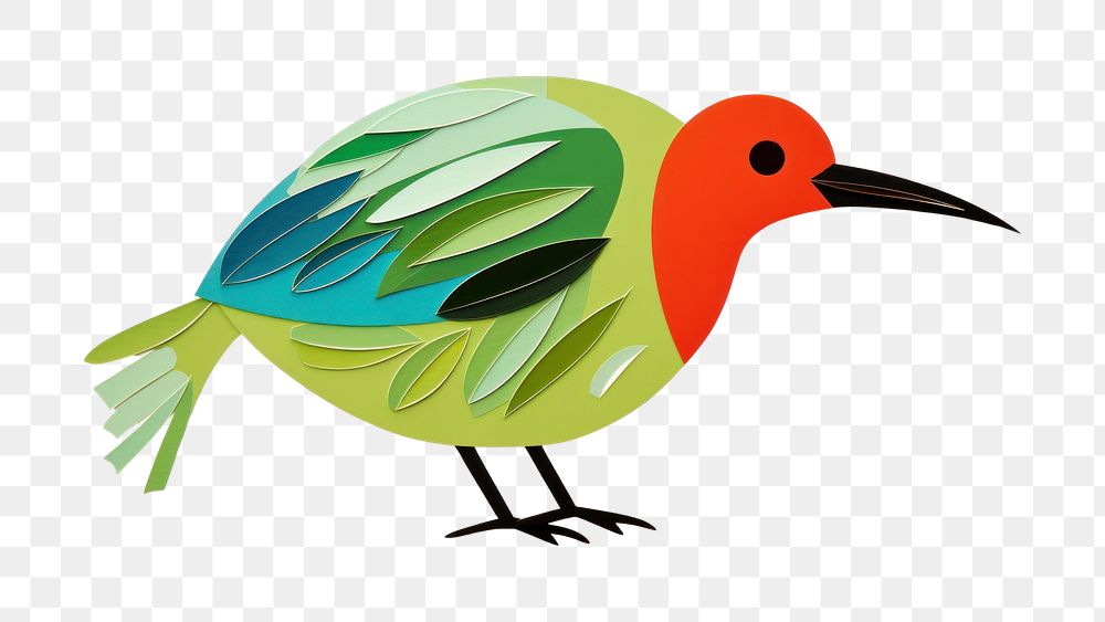 PNG Kiwi Bird bird animal beak. AI generated Image by rawpixel.