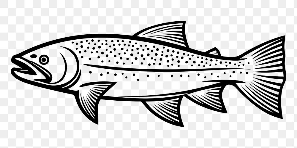 PNG Trout drawing animal fish. AI generated Image by rawpixel.