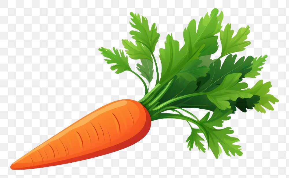 PNG Vegetable parsley carrot plant. AI generated Image by rawpixel.