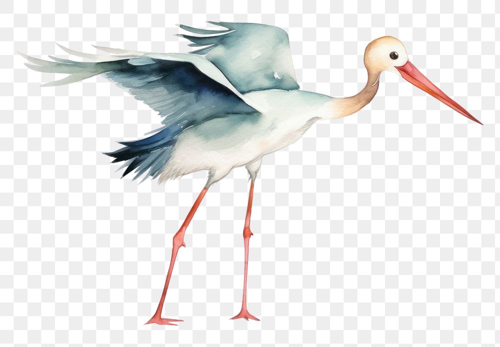 PNG  Stork stork animal bird. AI generated Image by rawpixel.