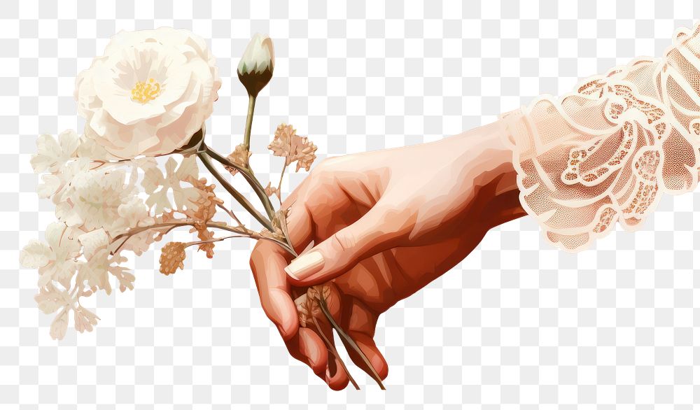 PNG Hand holding a flower hand finger petal. 