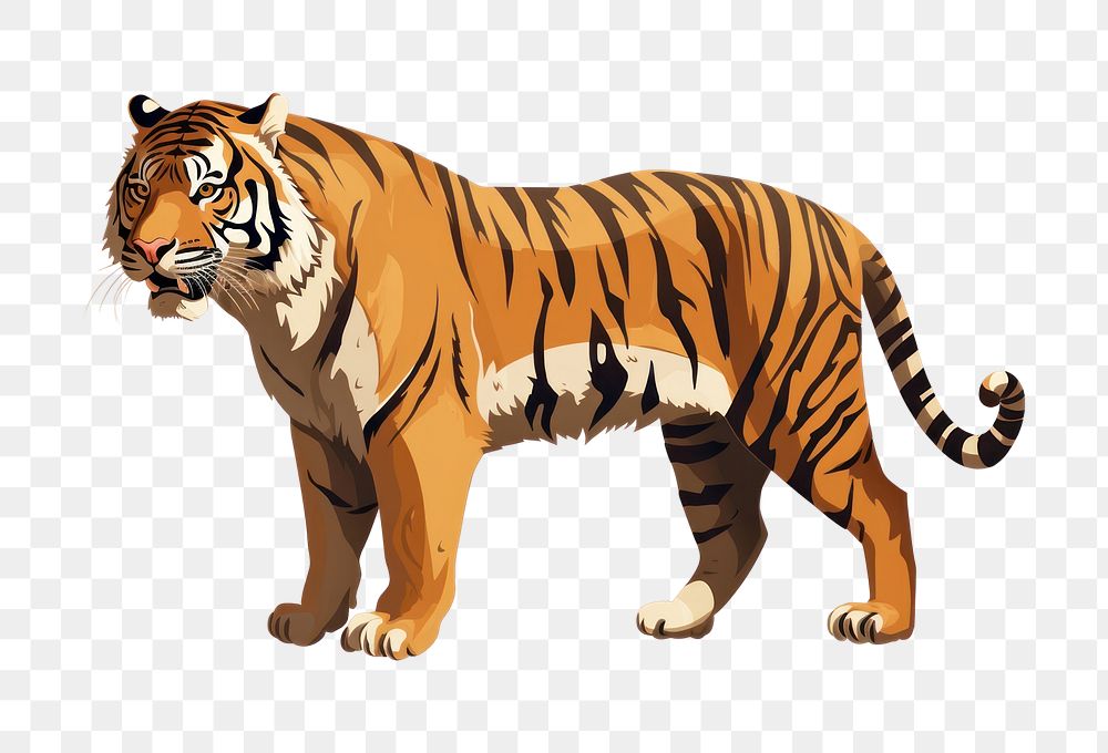 PNG Tiger wildlife standing animal. AI generated Image by rawpixel.