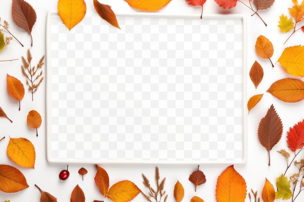 PNG  Autumn frame backgrounds autumn plant. AI generated Image by rawpixel.