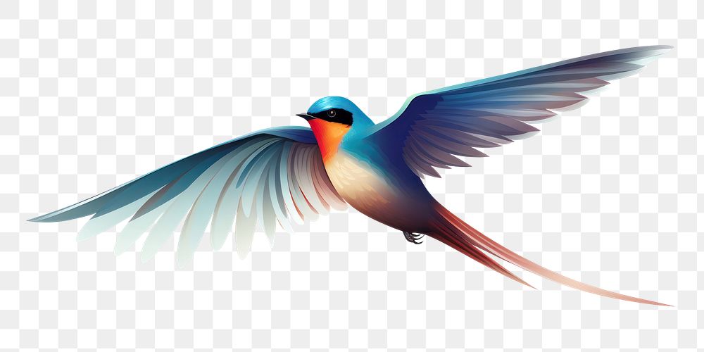 PNG Swallow animal flying bird. AI generated Image by rawpixel.