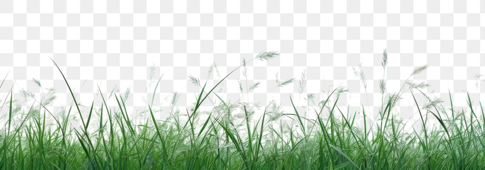 PNG Green grass blue sky outdoors horizon nature. AI generated Image by rawpixel.