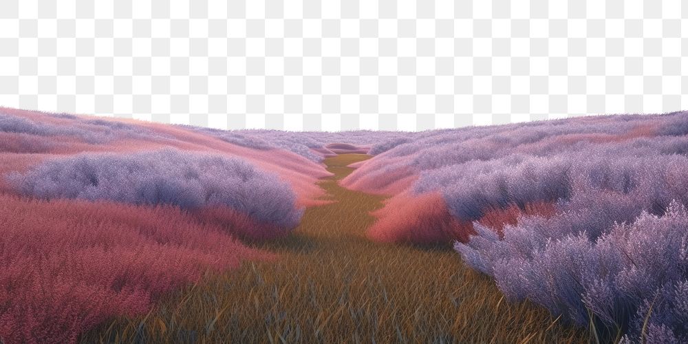PNG Dreamscapes colorful grass filed landscape outdoors nature flower