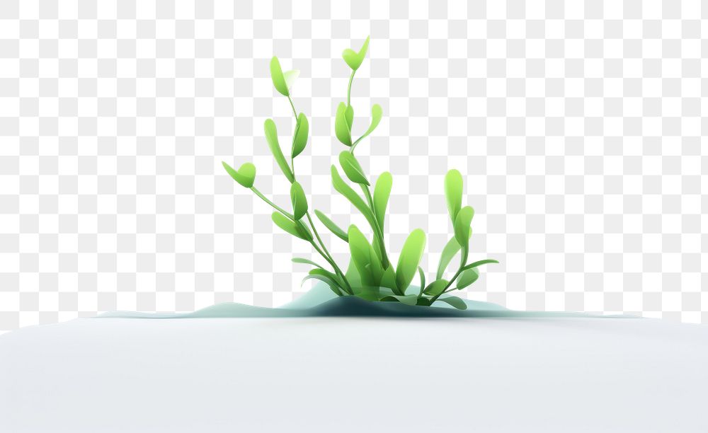 PNG Seaweed plant white background underwater. AI generated Image by rawpixel.