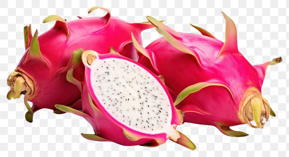 PNG  Dragon fruit plant food white background. AI generated Image by rawpixel.