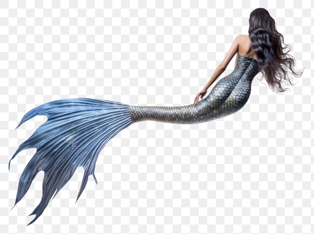 PNG Beautiful mermaid swimming animal adult