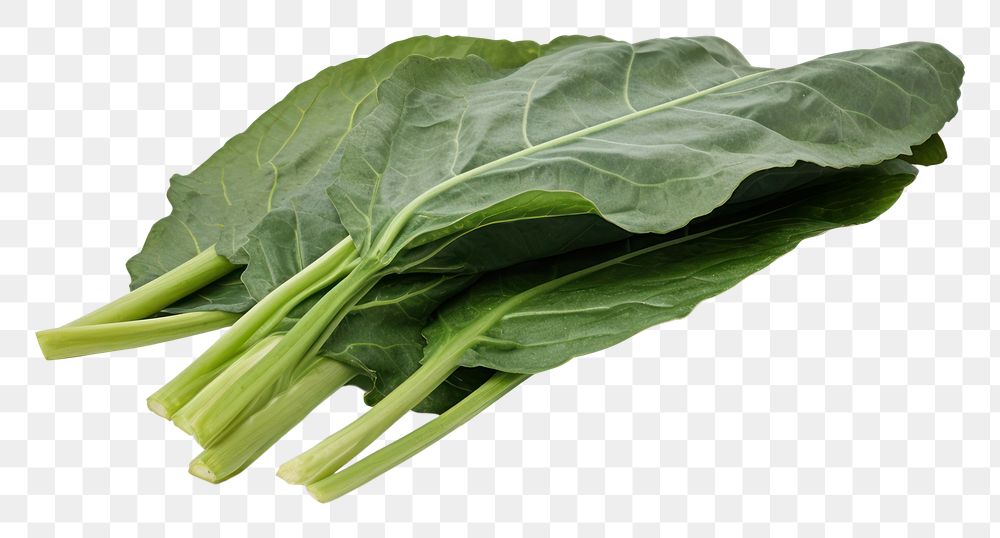 PNG  Collard greens vegetable spinach plant. AI generated Image by rawpixel.