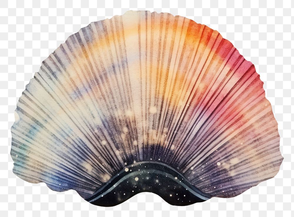 PNG Shell galaxy invertebrate creativity painting. AI generated Image by rawpixel.