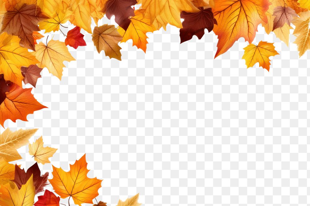 PNG  Fall autumn leaves frame backgrounds maple plant. AI generated Image by rawpixel.