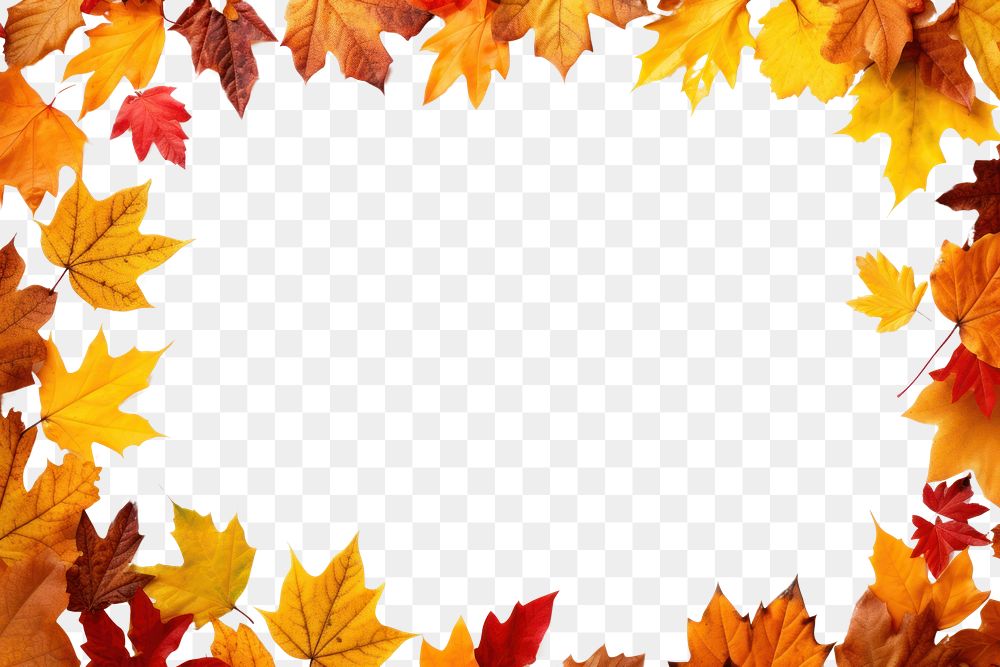 PNG  Fall autumn leaves frame backgrounds maple plant. AI generated Image by rawpixel.
