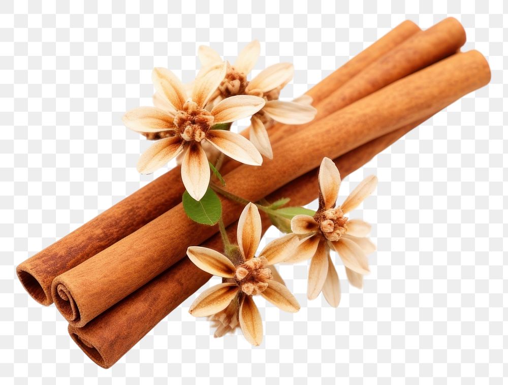 PNG  Cassia cinnamon spice food white background