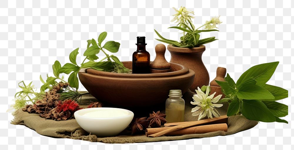 PNG  Herbal massage herbs flower plant. AI generated Image by rawpixel.