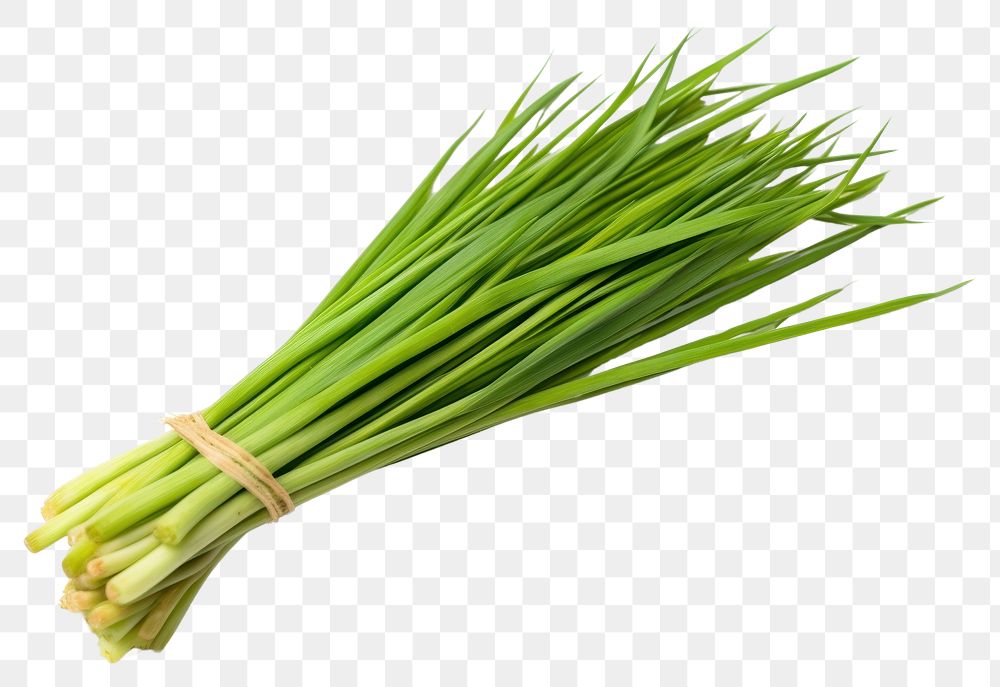 PNG  Lemon grass vegetable plant food. AI generated Image by rawpixel.