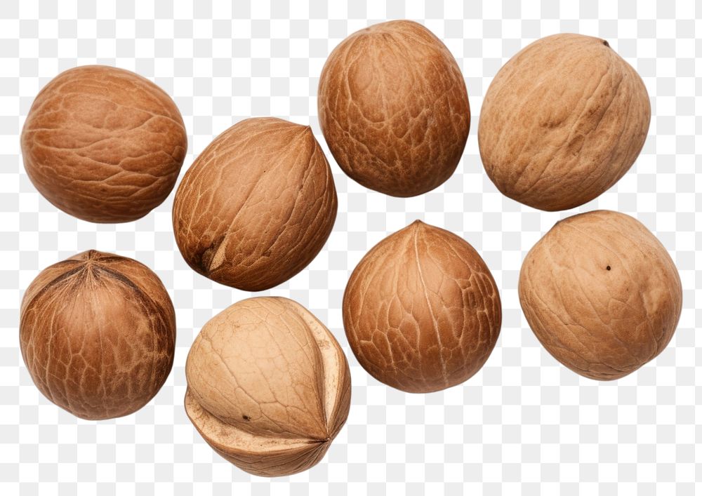 PNG Nutmeg nuts plant food white background. AI generated Image by rawpixel.