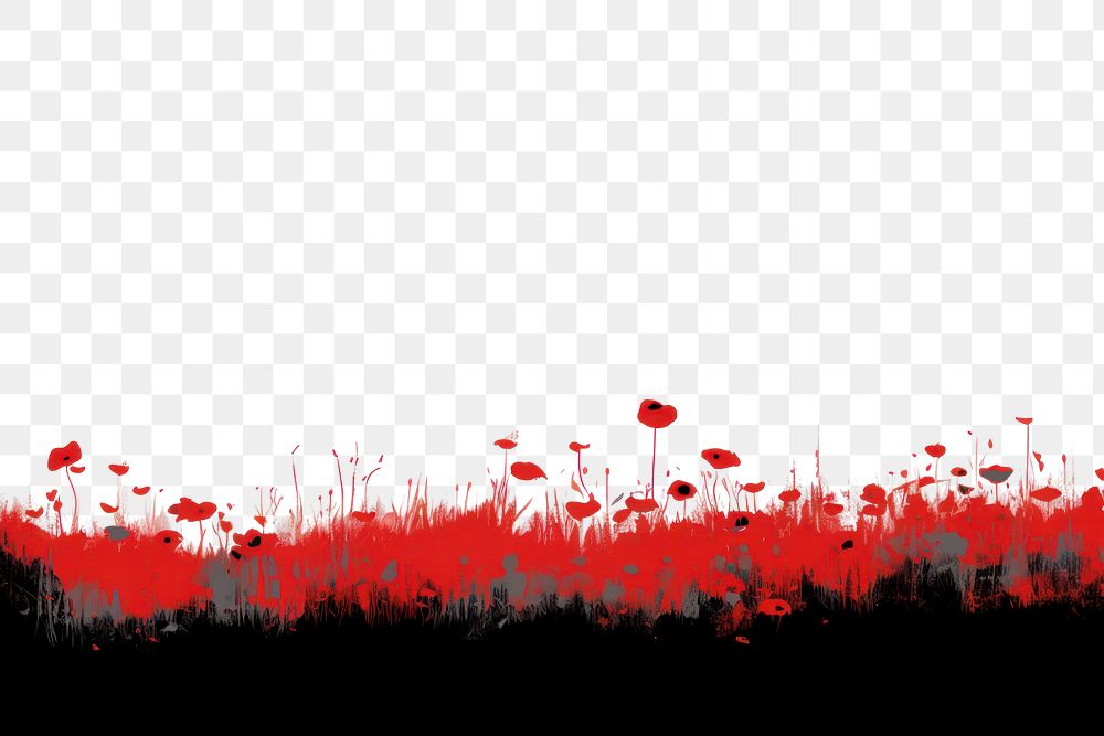 PNG Remembrance backgrounds outdoors poppy. AI generated Image by rawpixel.