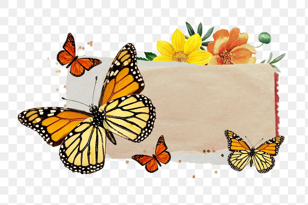 PNG Ripped paper with monarch butterflies remix, transparent background