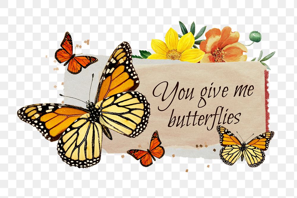 PNG You give me butterflies, love quote with paper craft remix, transparent background