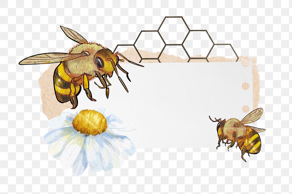 PNG Bees and flower with ripped paper remix, transparent background