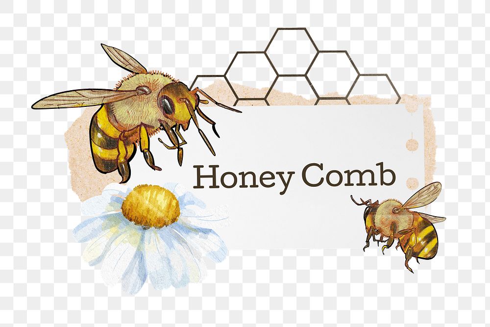 PNG Honey comb, bees and flower paper remix, transparent background