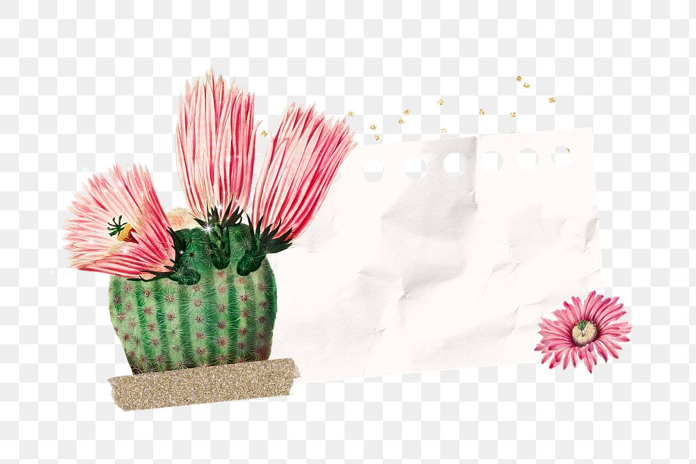 PNG Cactus flower, ripped paper remix, transparent background