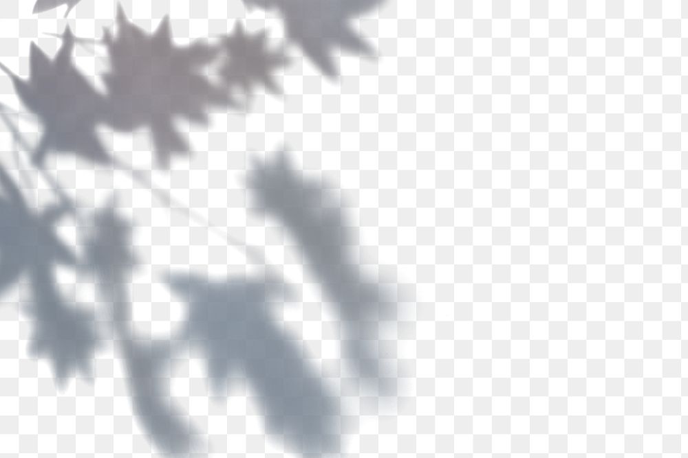 Тень от пальмы. Тень от листвы на лице. Ветка с листьями. Тень от листвы на стене. Тень от листвы.